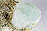 Wide Aquamarine Crystal On Muscovite Matrix - Pakistan #93520-8
